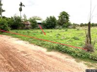 https://kalasin.ohoproperty.com/206509/ธนาคารกสิกรไทย/ขายที่ดินว่างเปล่า/หนองกุงศรี/หนองกุงศรี/กาฬสินธุ์/
