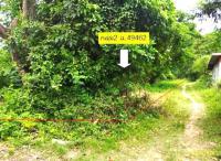 ที่ดินว่างเปล่าหลุดจำนอง ธ.ธนาคารกสิกรไทย ยางตลาด ยางตลาด กาฬสินธุ์