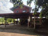 https://kalasin.ohoproperty.com/213122/ธนาคารกสิกรไทย/ขายบ้านเดี่ยว/ลำหนองแสน/หนองกุงศรี/กาฬสินธุ์/